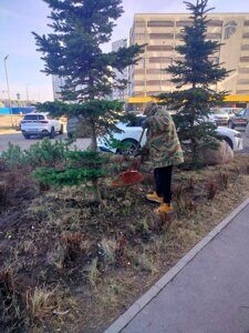 ypwtiG-zsBvNsUVlASvNszsKjgxPFR2fTv4fmD1sSg-hxbC7JvSPLMepotb3PTwxXb3hPkwDtqWPdEDbaLPcMssp